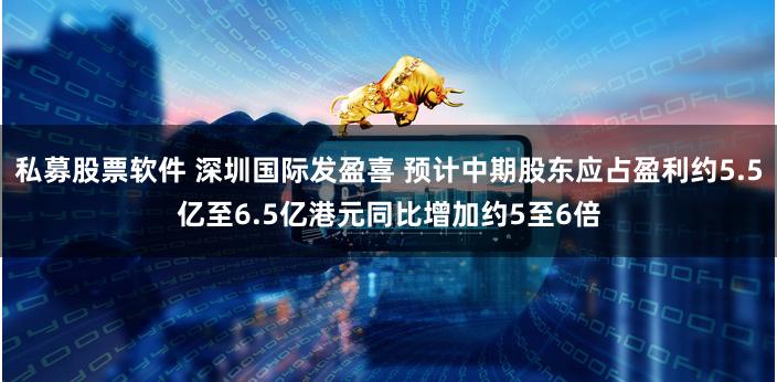 私募股票软件 深圳国际发盈喜 预计中期股东应占盈利约5.5亿至6.5亿港元同比增加约5至6倍