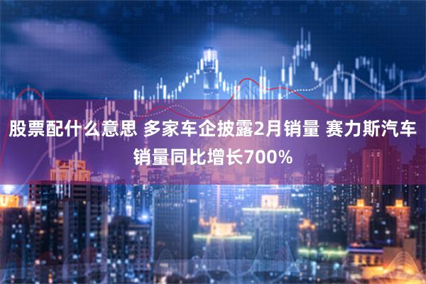 股票配什么意思 多家车企披露2月销量 赛力斯汽车销量同比增长700%