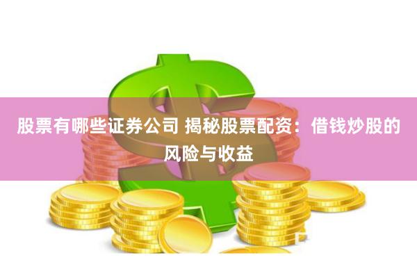 股票有哪些证券公司 揭秘股票配资：借钱炒股的风险与收益
